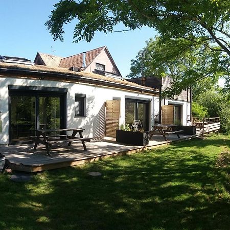Apartamento Les Bords De L'Ill Illhaeusern Exterior foto